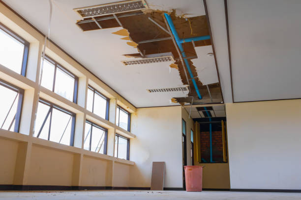 Best Basement water damage restoration  in Locust Grove, OK