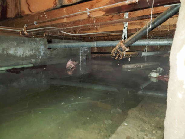 Best Residential water damage restoration  in Locust Grove, OK