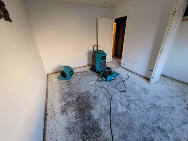 Best Water damage repair service  in Locust Grove, OK