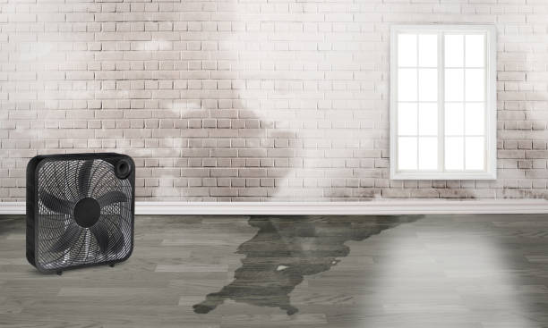 Best Fire Damage Restoration  in Locust Grove, OK