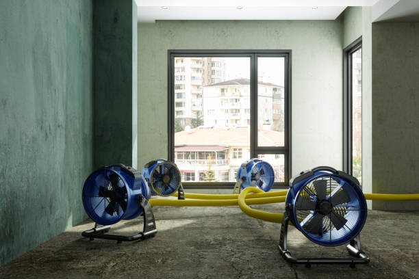 Best 24/7 water damage repair  in Locust Grove, OK